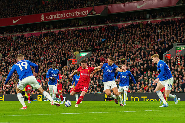 天津津门虎 天津津门虎