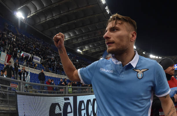 情感纽带 情感纽带