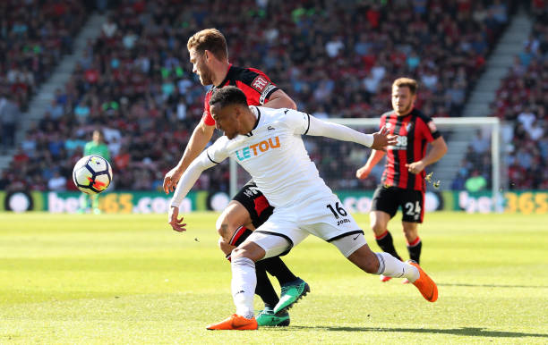 迷们关心的 迷们关心的